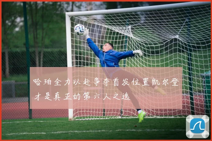 哈珀全力以赴争夺首发位置凯尔登才是真正的第六人之选